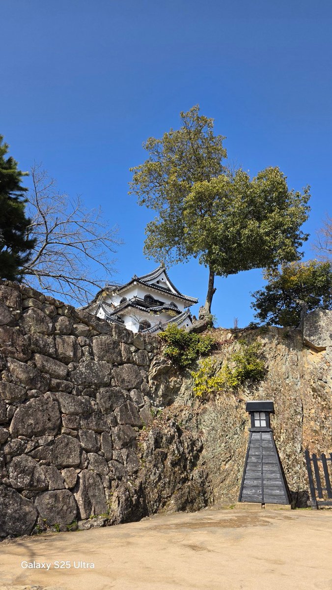 修理待ちで彦根城！！シャアやシャンクス、赤井さんの声優 池田秀一