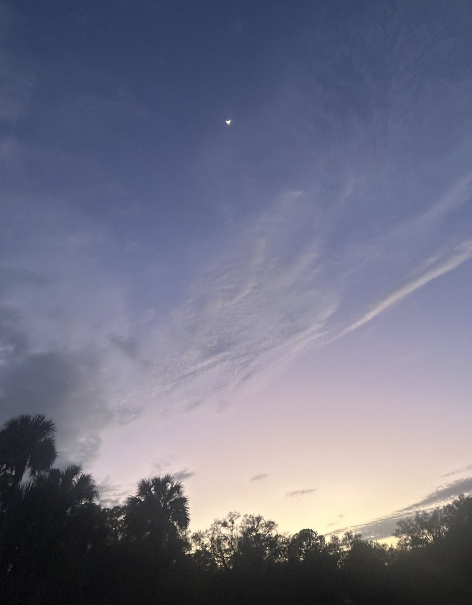 Reverie in Ruins (@sighandsubmit) on Twitter photo 