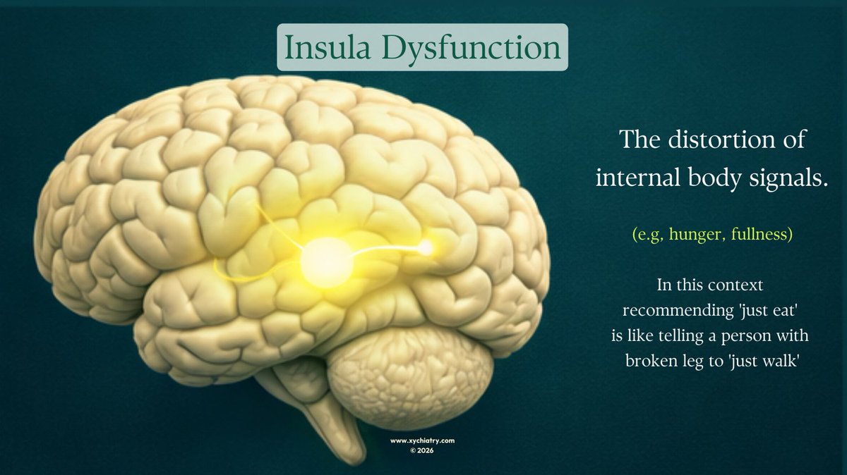 xychiatry's tweet photo. Anorexia isn’t about vanity. It’s a neurobiological disorder.

Starvation alters reward circuits, distorts body signals, and rewires fear responses.

During #EDAW2026, move beyond stigma. Understand the brain.

#AnorexiaNervosa #EatingDisorders #Neurobiology #XYCHIATRY https://t.co/F6d4mStYJF