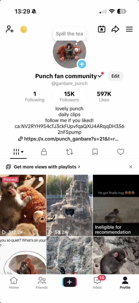 Punch tweet media