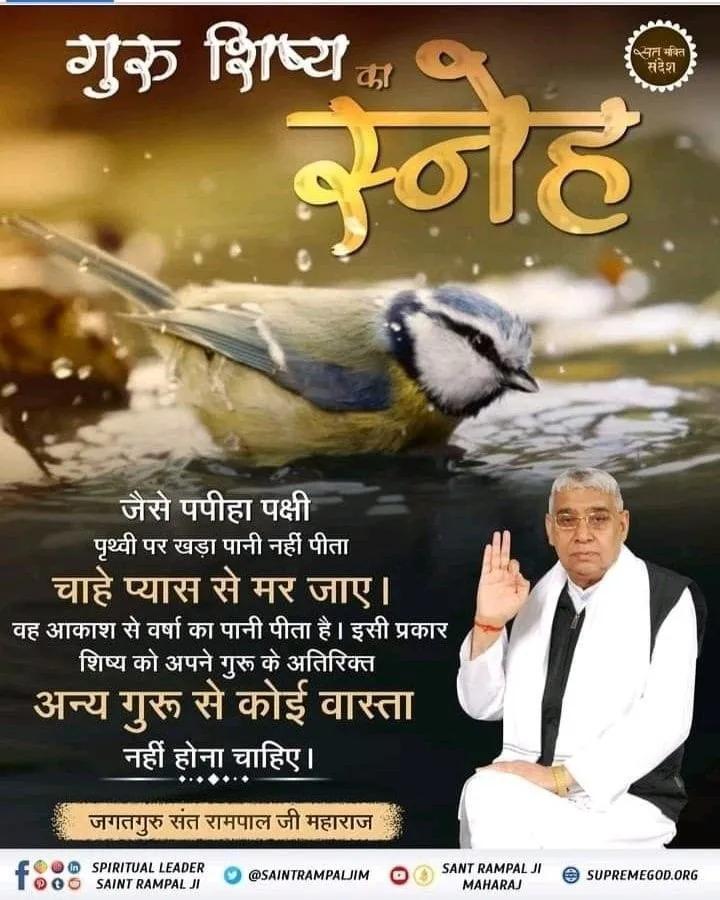 #सत_भक्ति_संदेश 
गुरु शिष्य का स्नेह
जैसे पपीहा पक्षी पृथ्वी पर खड़ा पानी नहीं
पिता चाहे प्यास से मर जाए।
वह आकाश से वर्षा का पानी पिता है। इसी प्रकार शिष्य को अपने गुरु के अतिरिक्त अन्य गुरु से कोई वास्ता नहीं होना चाहिए।
देखें साधना चैनल प्रतिदिन शाम07:30 बजे
#GodMorningMonday