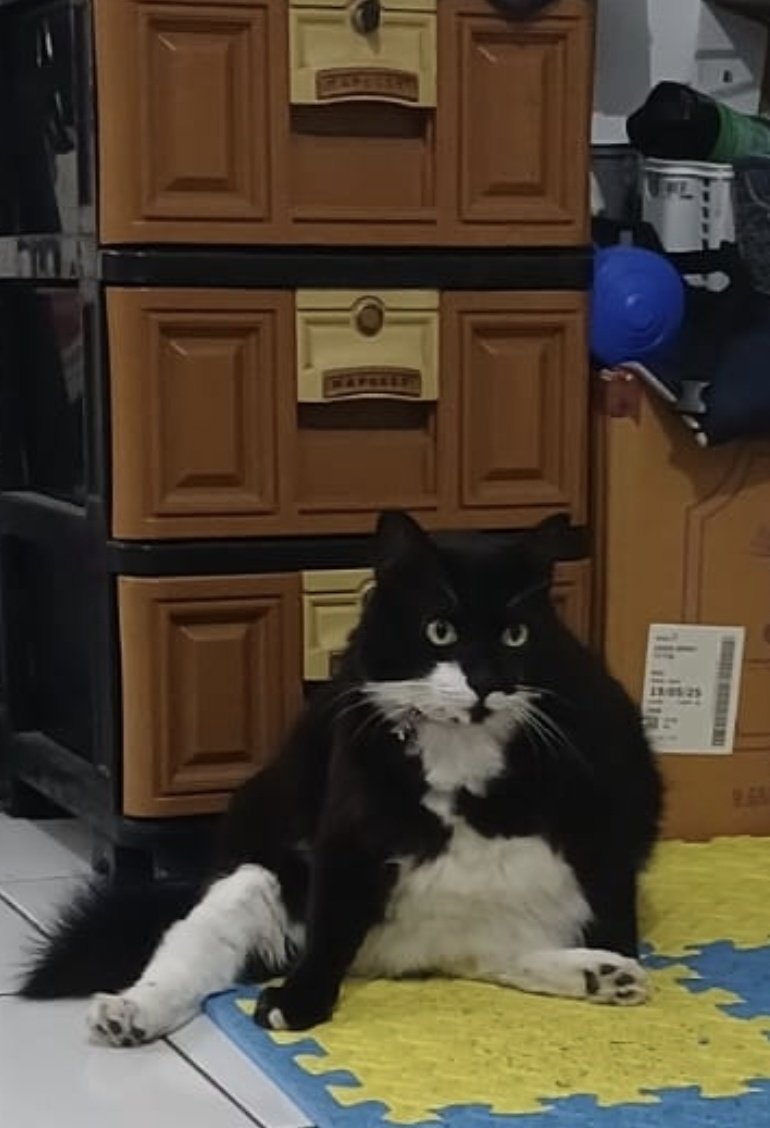 Ricko Setiawan  tweet media