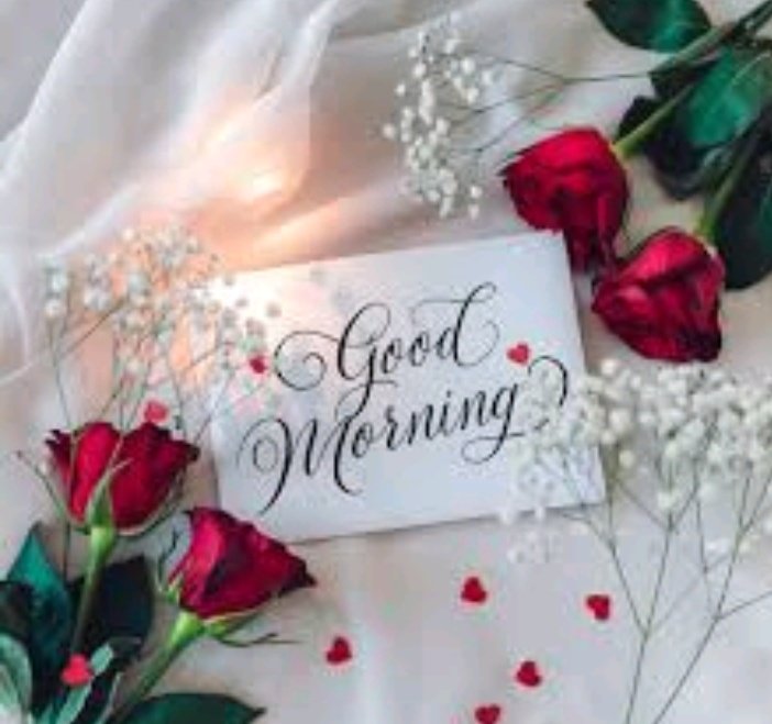 Wake with Gratitude,
You've being given a new week,
You've what it takes to become.

Good morning and. It's Monday.

J Cole| RamadanDay6|Simi|APC Congress|Brymo|Vaerane