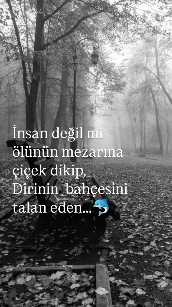 İnsan değil mi...🐬