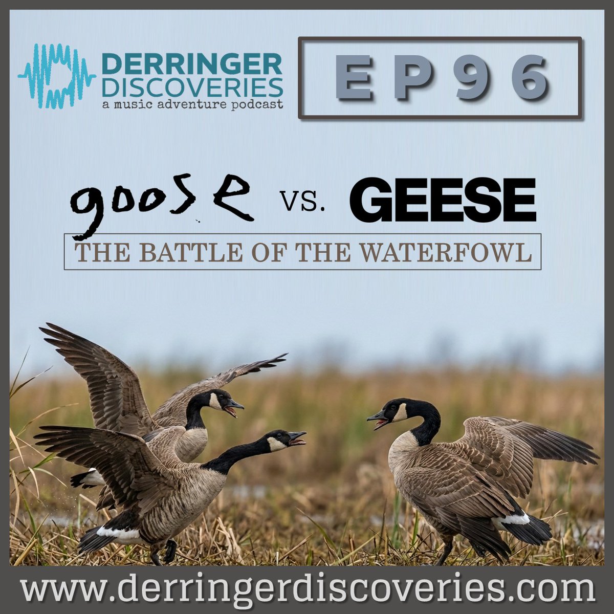 Derringer Discoveries tweet media