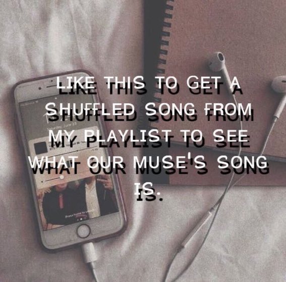 ℙ𝕀𝔼ℝℂ𝔼 tweet media