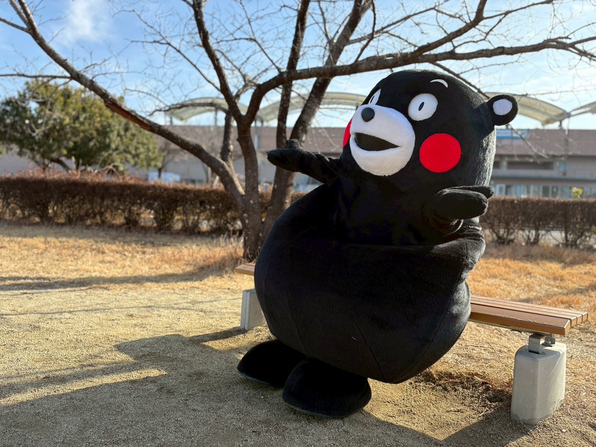 くまモン【公式】 (@55_kumamon) / Posts / X