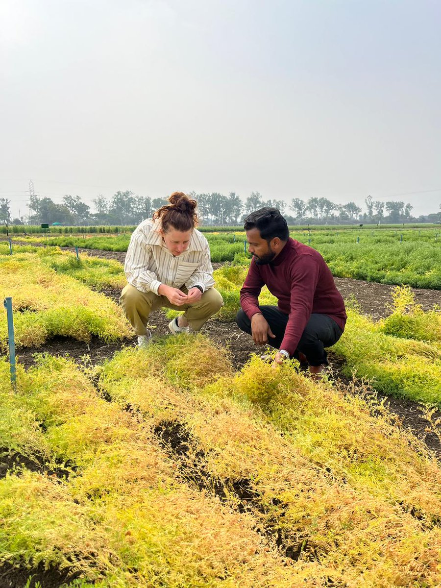 Ashutosh Kumar Yadav tweet media