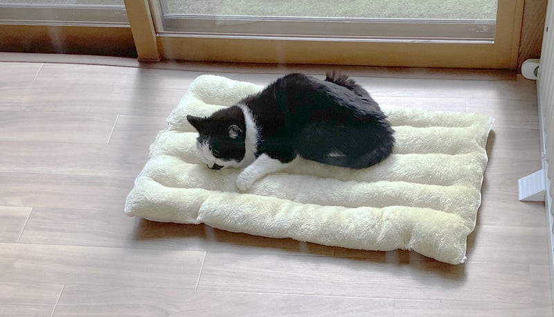 来夢 (@k2kBcTiP82T4D13) / Posts / X