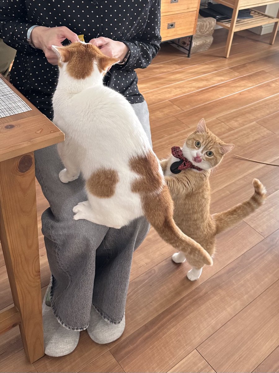 も&もちもな tweet media