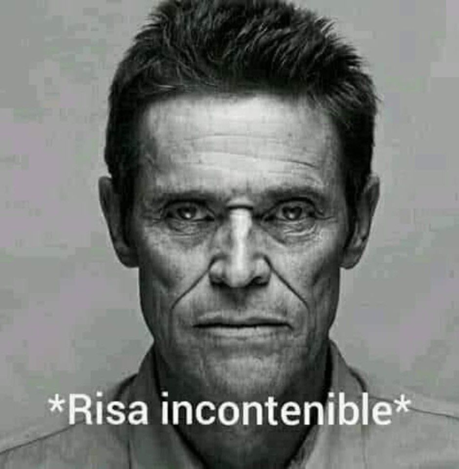 nuctemeron's tweet photo. El resumen de la rutina de kramer #Viña2026 https://t.co/vGiXKRpgGD