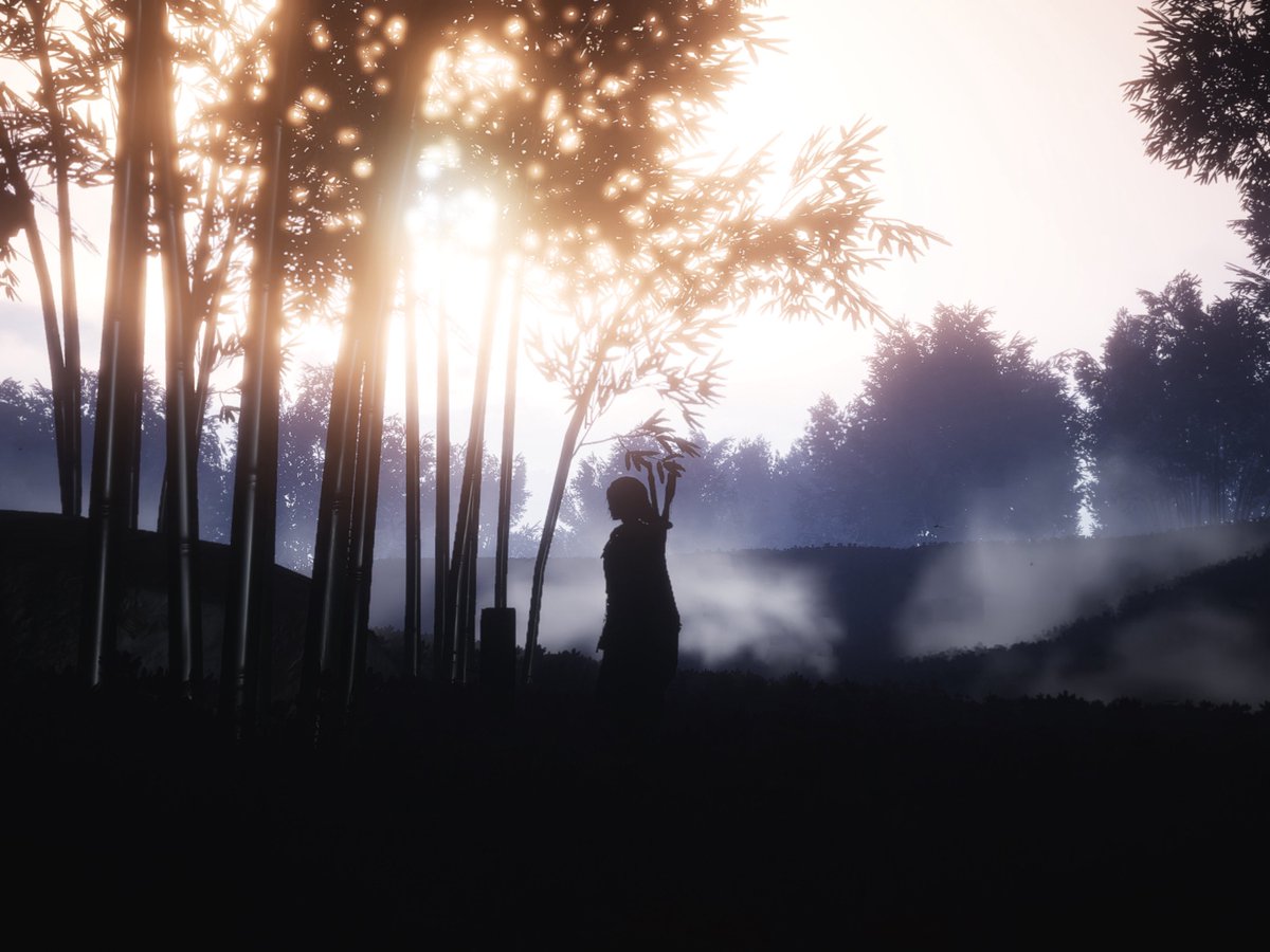 yto9144's tweet image. ✅ 성묘하기