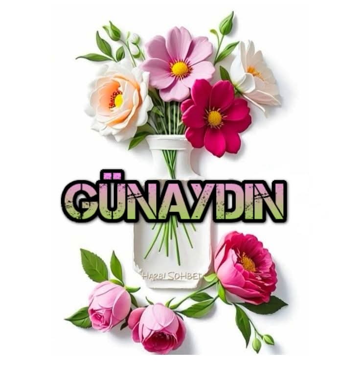 celal54c's tweet photo. @cansin1913 https://t.co/cndfjg5JVs