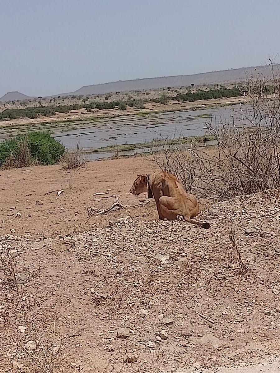 Mseto Travel Experiences tweet media