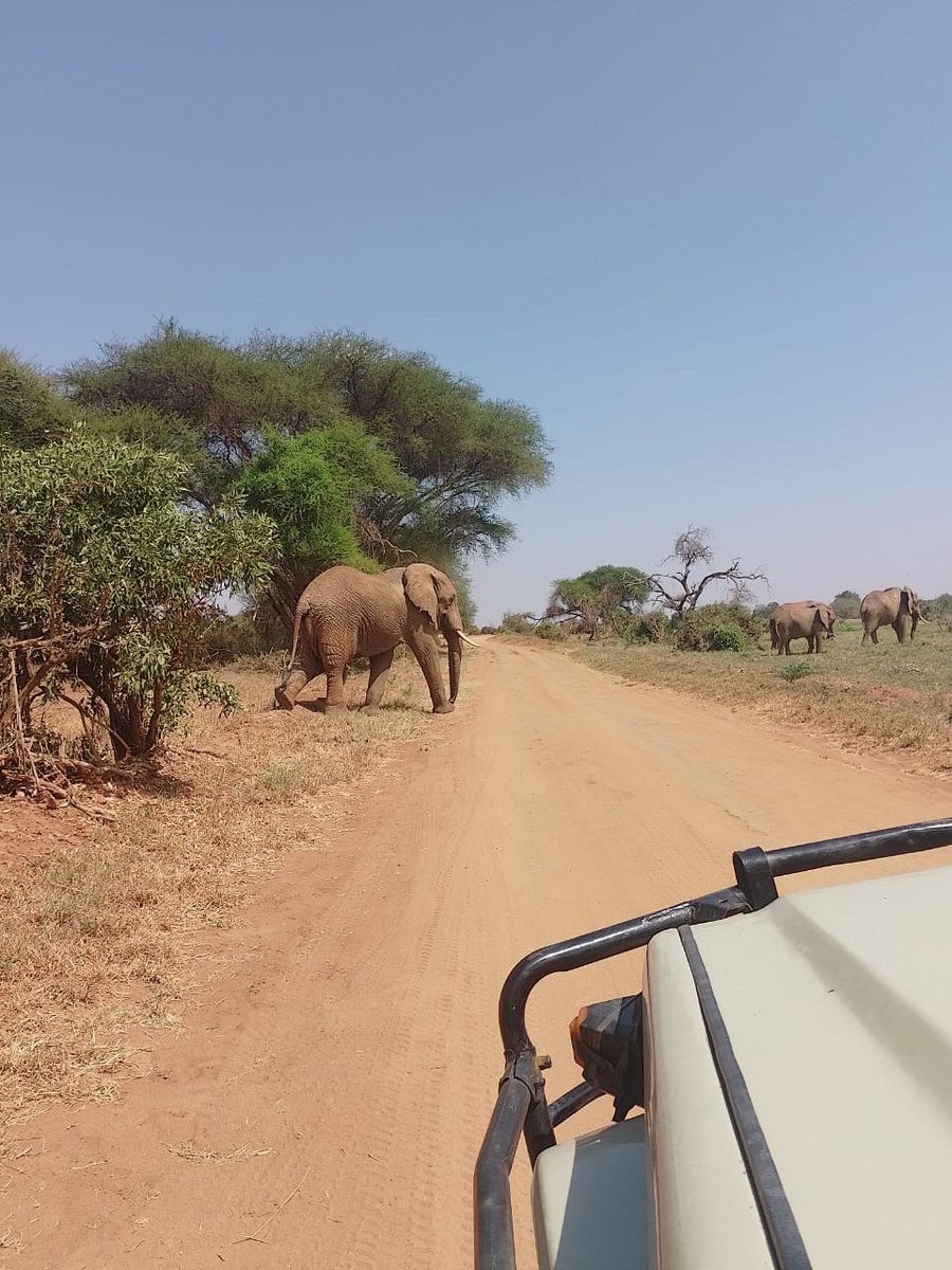 Mseto Travel Experiences tweet media