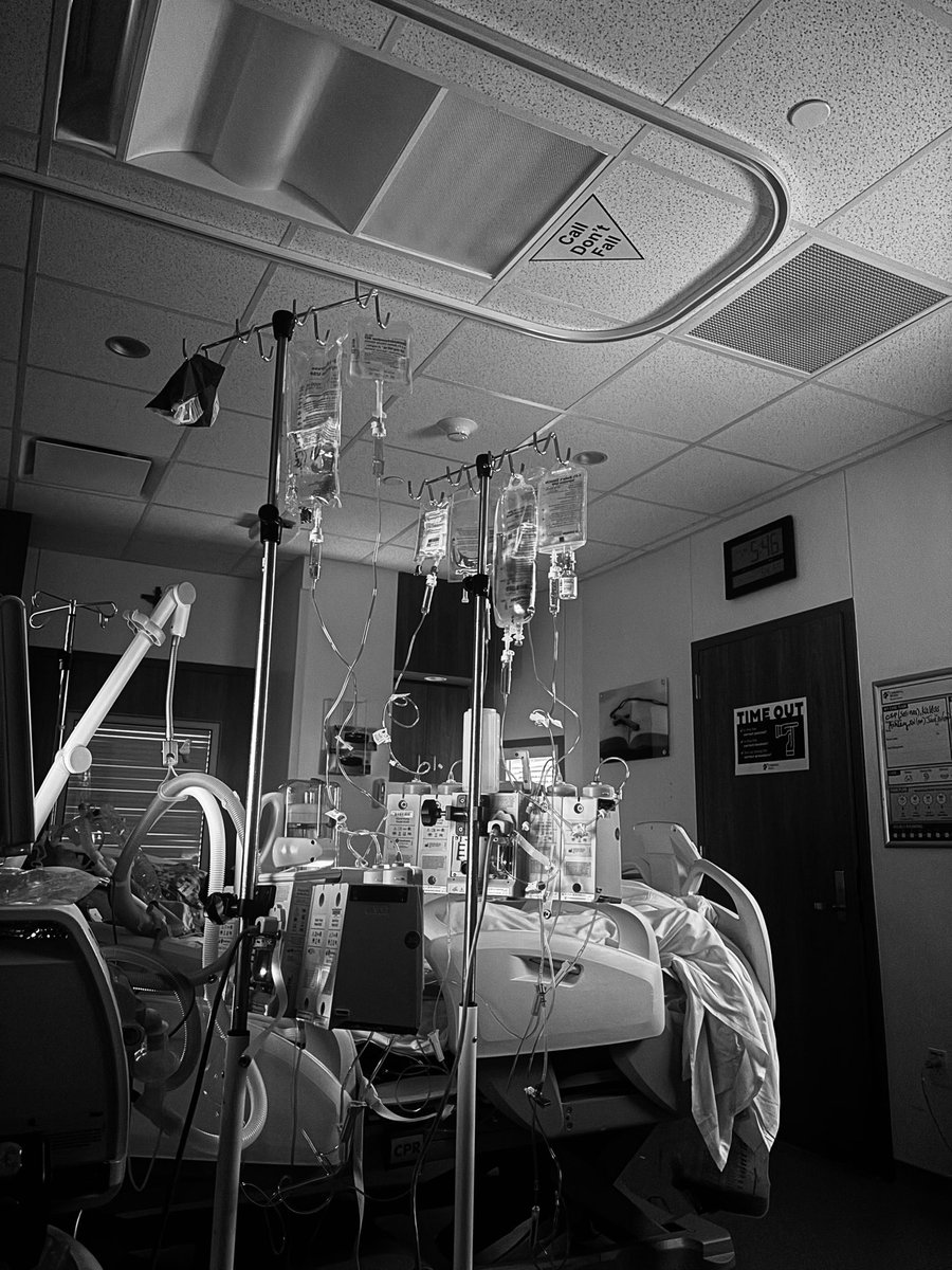 Joel Adame tweet media