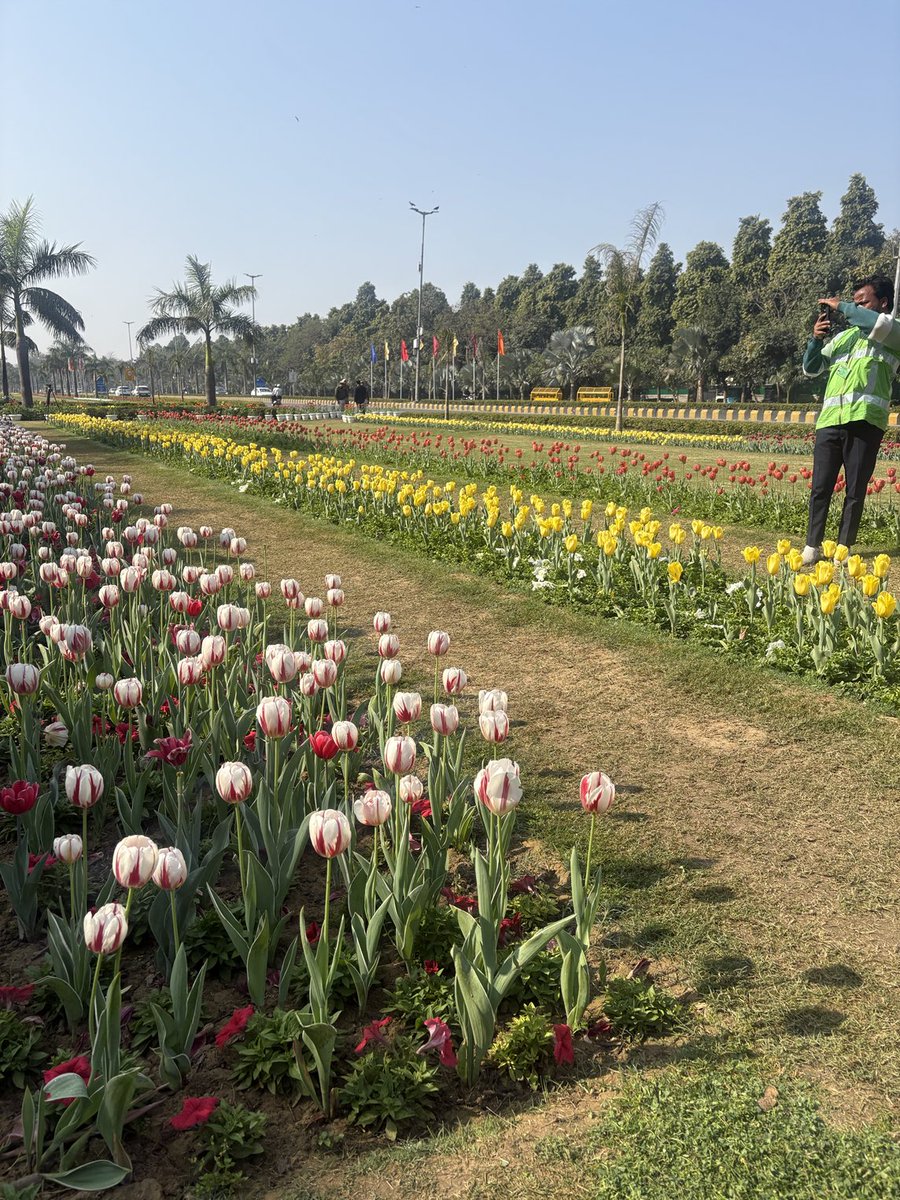 #TulipFestival2026
#Shantipath