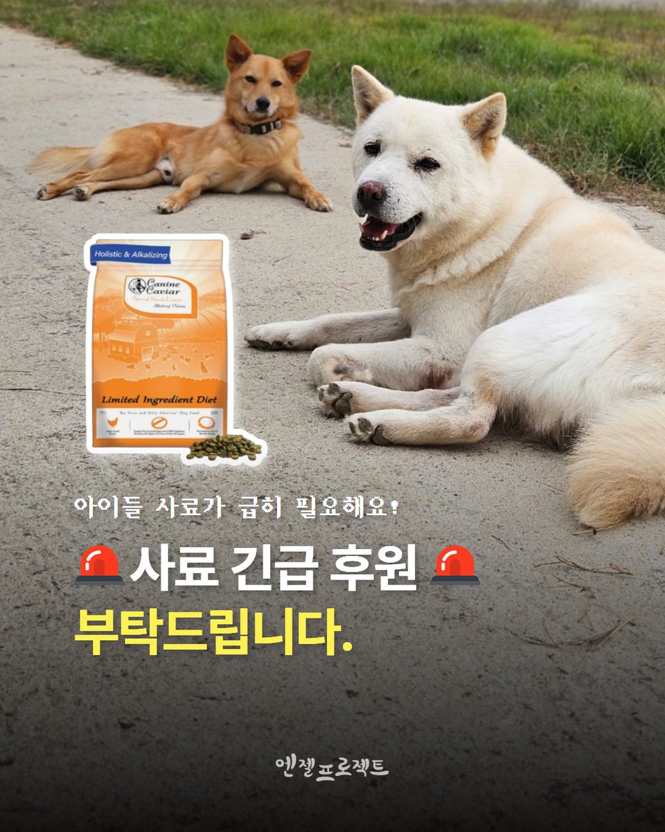 🆘사료 긴급히 후원 요청드립니다!🆘

이전에 후원 요청드렸던 사료가 기호성이 많이 떨어질 뿐만 아니라, 고단백 제품이라 설사를 하는 경우가 많아 부득이하게 사료를 변경하려 합니다.

아이들의 건강을 최우선으로 고려해, 가격은 합리적이면서도 품질이 좋은 캐닌캐비어 사료로 급여를 전환하고자
