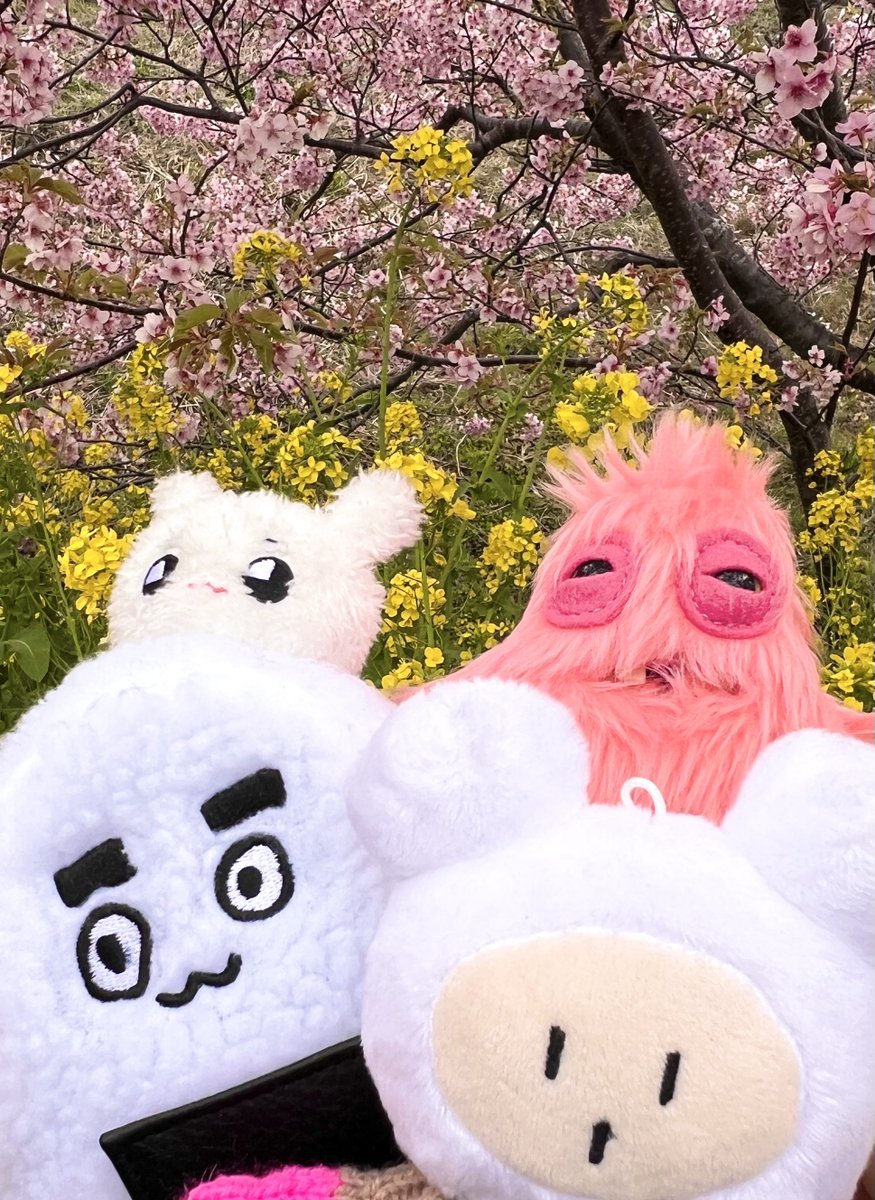 きい🌟 (@my0626_) / Posts / X