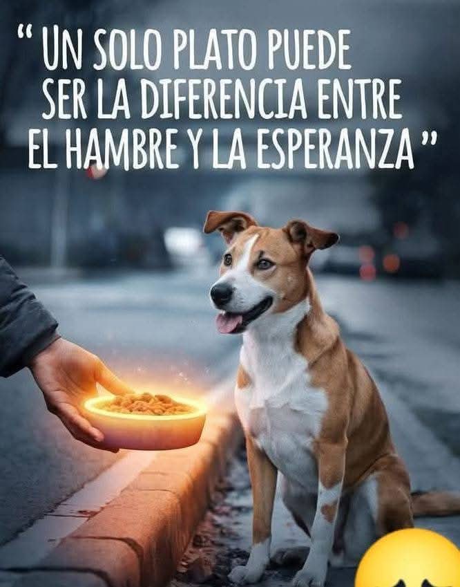 Sabueson (@sabueson) on Twitter photo 