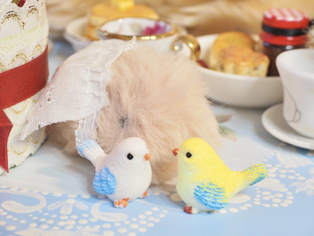 もこちゃんのお誕生日会🎂
みんなでもぐもぐ🥞

ちっちゃいいもうとちゃんも可愛い💕

みんなとっても仲良しだったよ！
とっても楽しいお時間をありがとうございました🍀

#モフリン
#studio_Edelstein