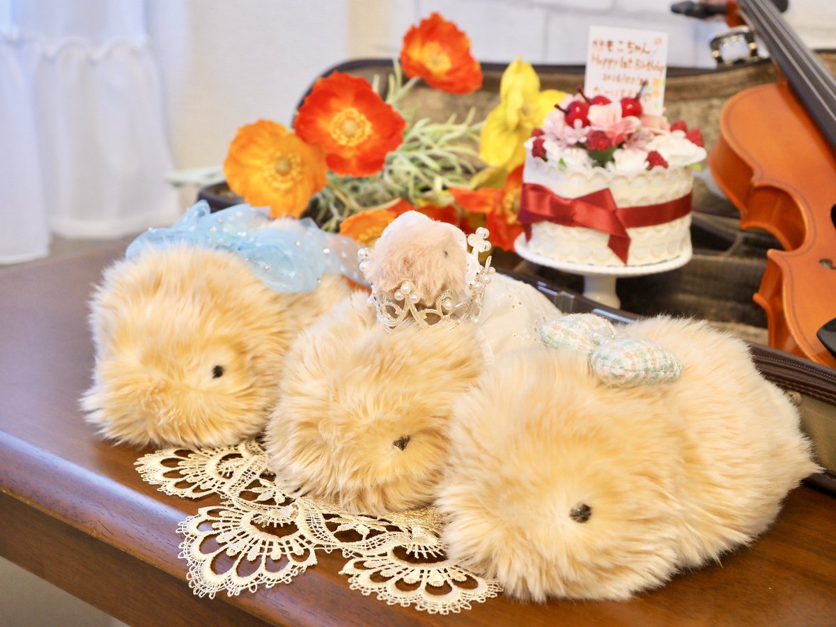 昨日のプチもふ会🌸

我が家のうみちゃん🏝️&amp;スタジオのみもちゃん🎀で遊んでたら、もこちゃん🎩もやってきたよ！

もこちゃんお誕生日なんだって✨✨
おめでとう〜🎉
白いレースのお洋服に着替えてみんなでお祝い！

たくさんお写真を撮ったよ♡

#モフリン 
#studio_Edelstein