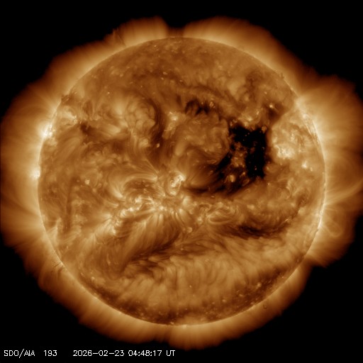 SCiESMEX/LANCE/UNAM tweet media