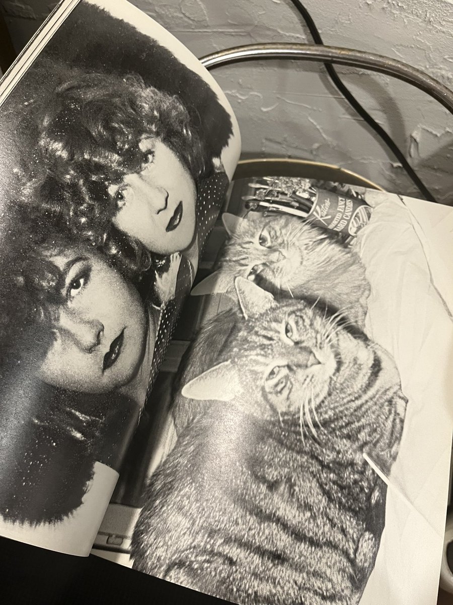 鹿のデコイは写真集を扱います。今回はWalter Pfeiffer『Walter