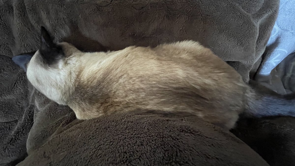 これから作業するからどいてね🥲