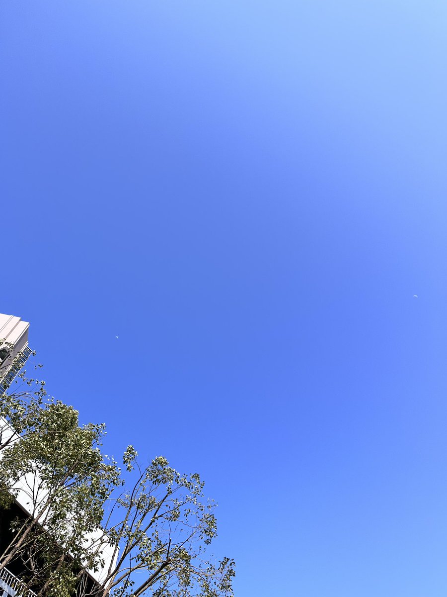 本日、東京では春一番を観測。
シャツ一枚で過ごせる気候です。