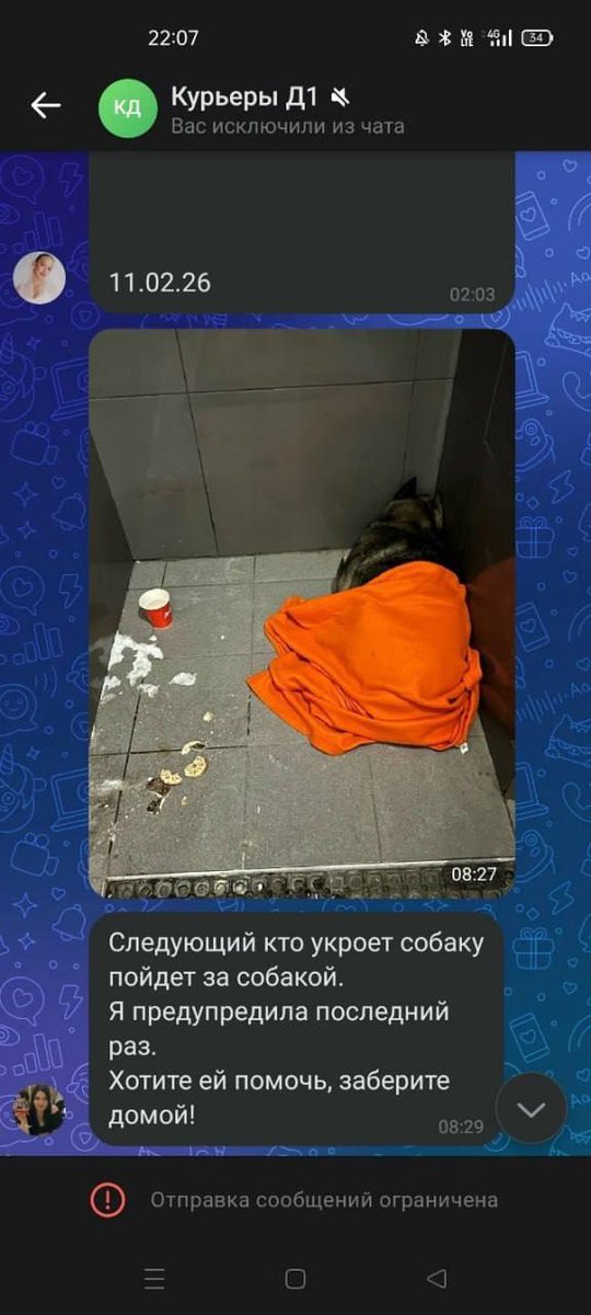 лимон чек tweet media