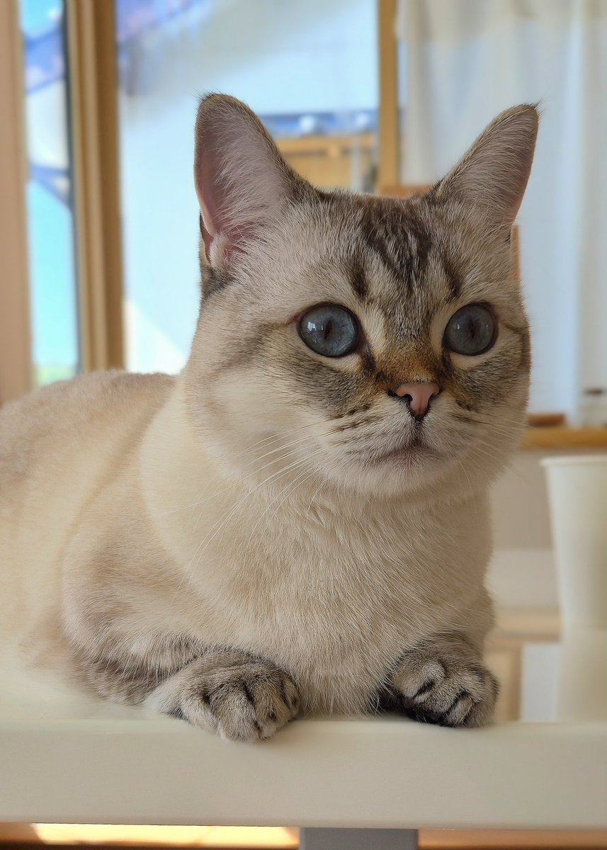 まるママ (@maruchannel0820) / Posts / X