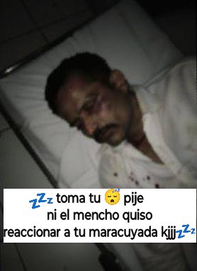 Scratch 🐟 tweet media