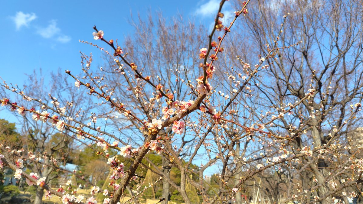 info_aceprint's tweet photo. 墨田公園のコーヒーフェスに立ち寄り☕️
天気が良くて、気持ちがいいー https://t.co/TV0V5cC1Oq