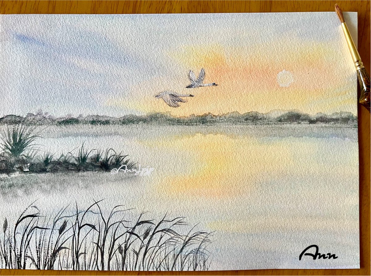 三連休のひととき☀️ 川面に映る夕日と、空を渡るガチョウ 風に