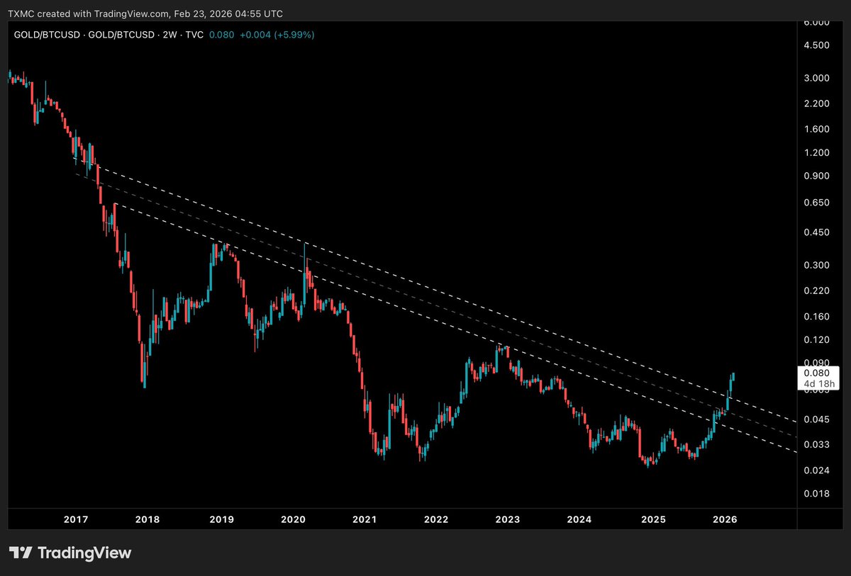 𝐓𝐗𝐌𝐂 tweet media