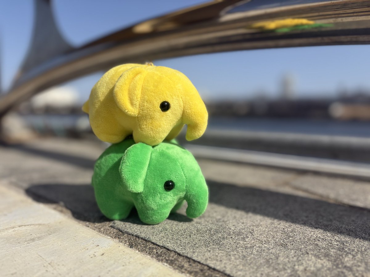 ドムドムハンバーガー tweet media