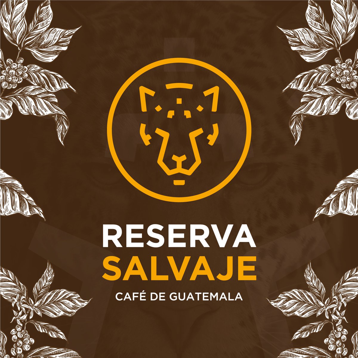 elpidiogarza's tweet photo. Diseño de Logo Reserva Salvaje 
https://t.co/KjJaKxfD8R
#Logo #logotipo #ImagenCorporativa #IdentidadCorporativa #DiseñoGráfico #BusinessLogo #brand #branding #branddesign #Brand #Branding #Marca #logofolio #visualidentity #logotype #ciudadvictoria #cd_victoria #ciudadvictoria https://t.co/IPVrQKzQ1r