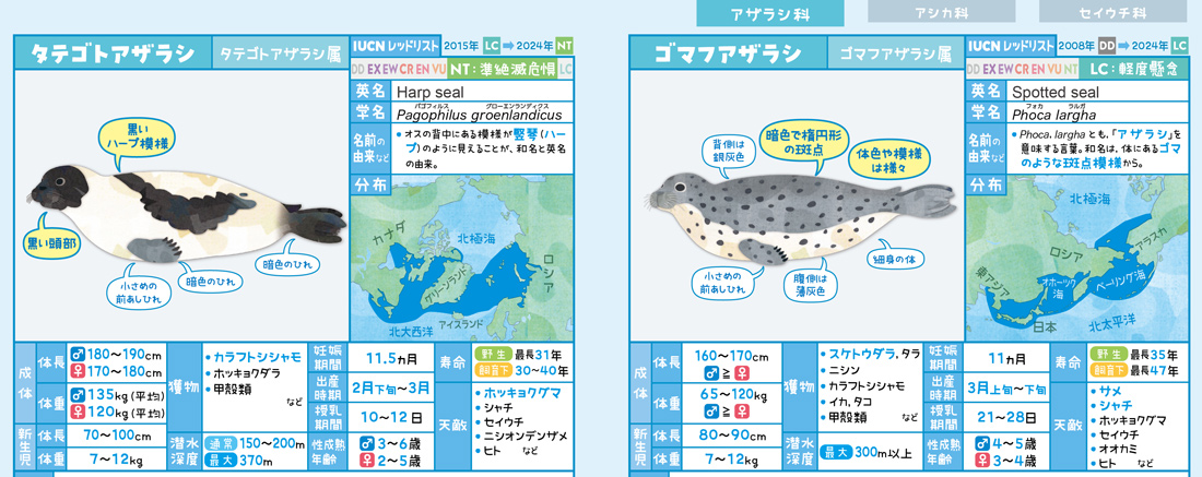次回のコミティア156も申し込みました。『アザラシ・アシカ・セイウチ
