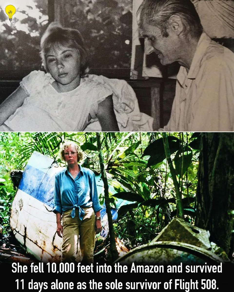 On Christmas Eve in 1971, 17-year-old Juliane Koepcke boarded LANSA Flight 508 with her mother, expecting an ordinary holiday trip.
Minutes later, lightning ripped through the aircraft, breaking it apart over the Peruvian Amazon.
Juliane fell 10,000 feet — nearly 3 kilometers —