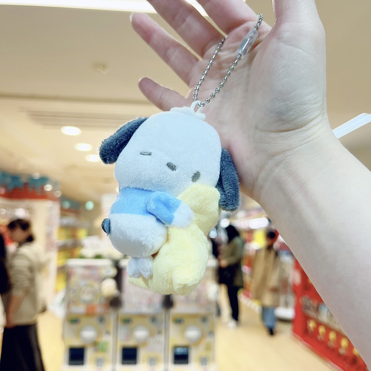 ❤好評発売中❤ #夢屋 ポチャッコ ぬいぐるみボールチェーン