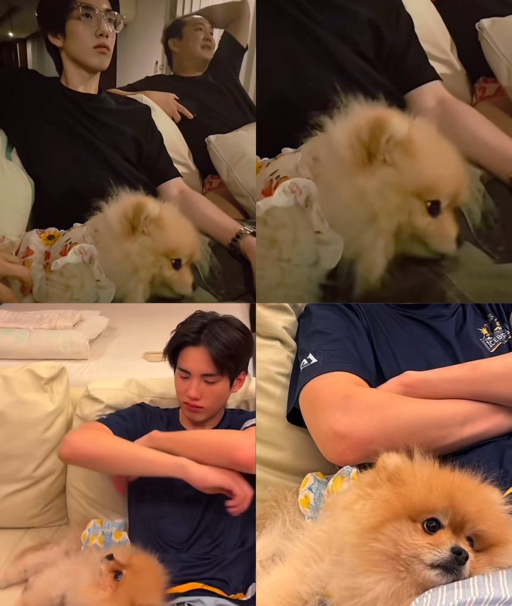 คุมะชอบหนุนตักเฮียทิสุดด