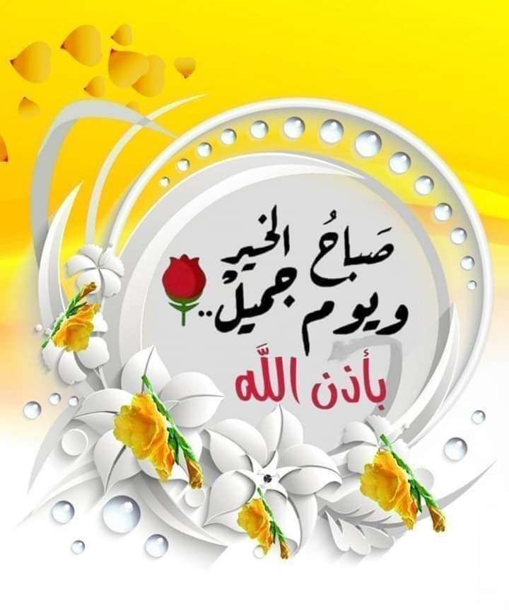 محمد عبدالمنعم (@mmdbdlm74714624) on Twitter photo 