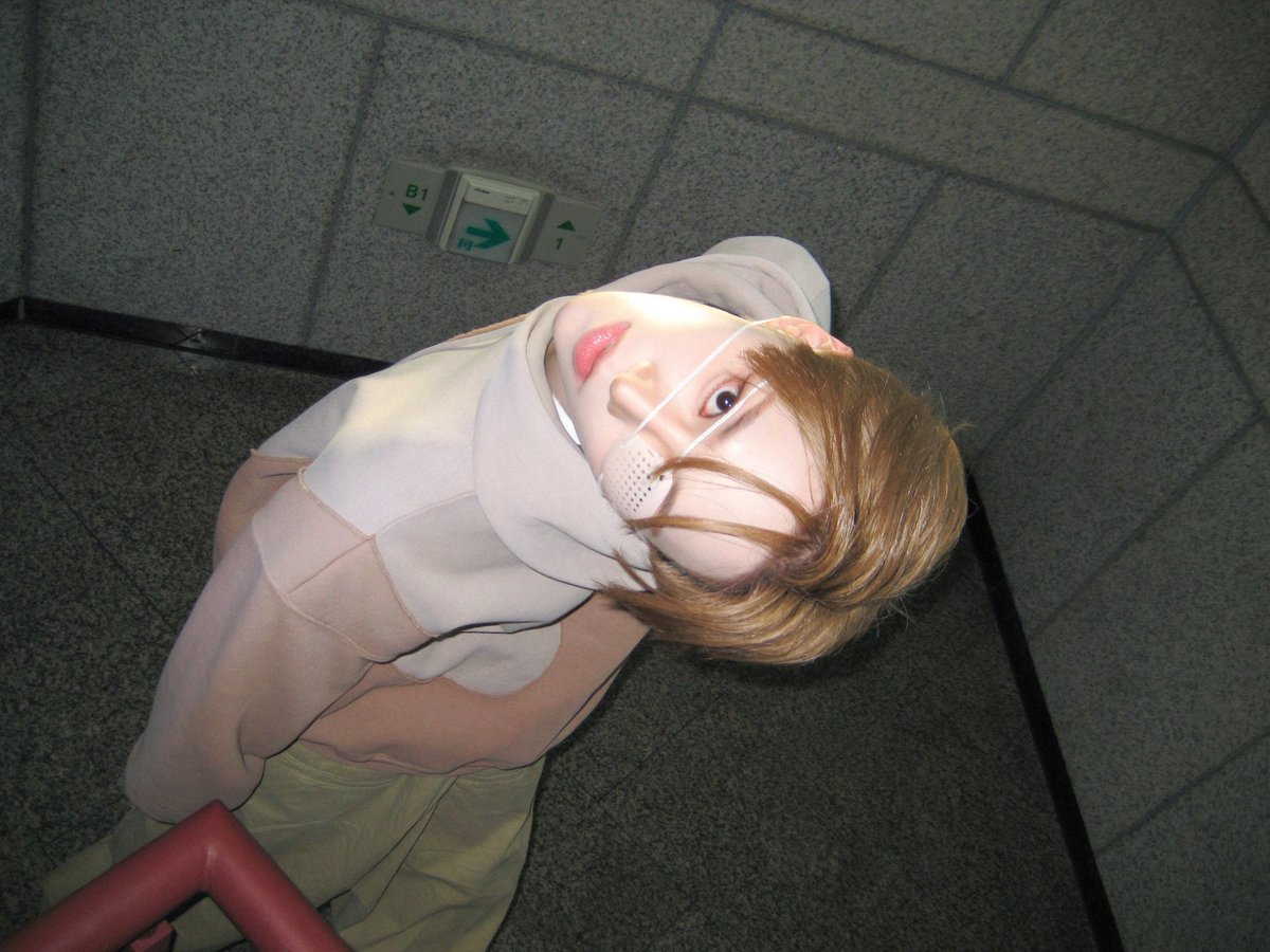 XIN🌱—REST tweet media