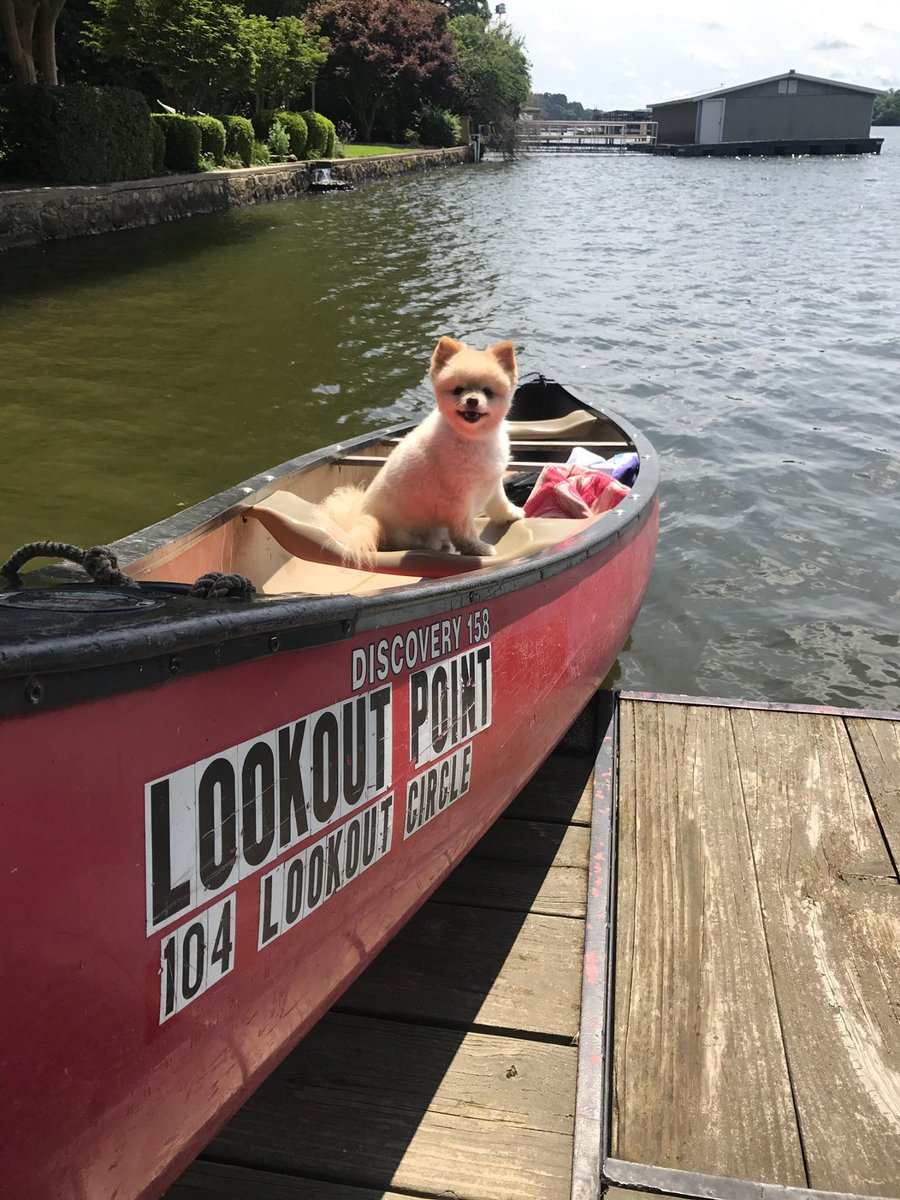 Visit Hot Springs tweet media