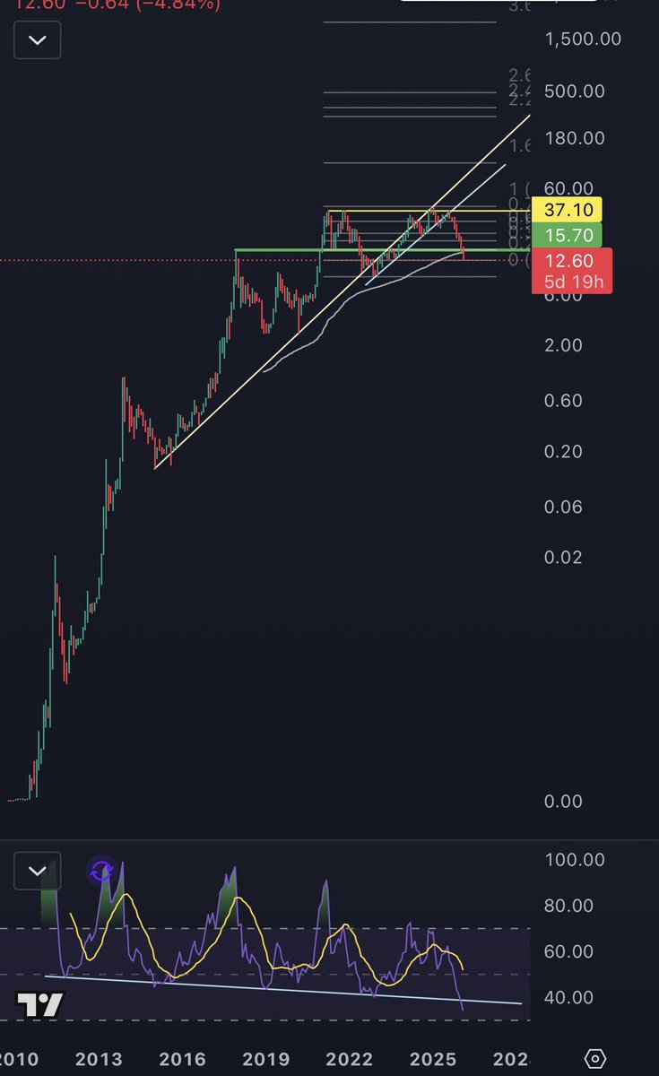 Crypto Whale tweet media