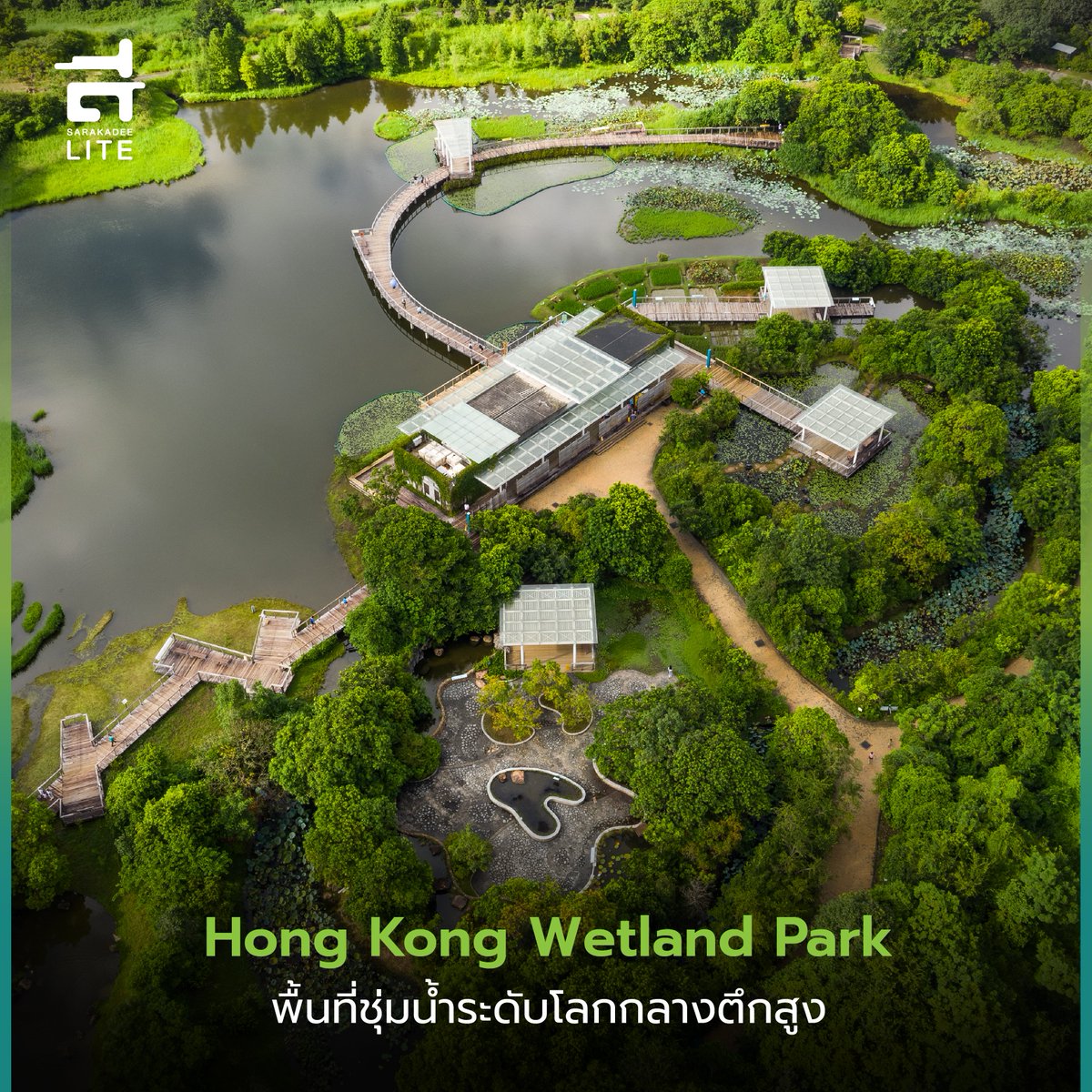 Sarakadee Lite tweet media