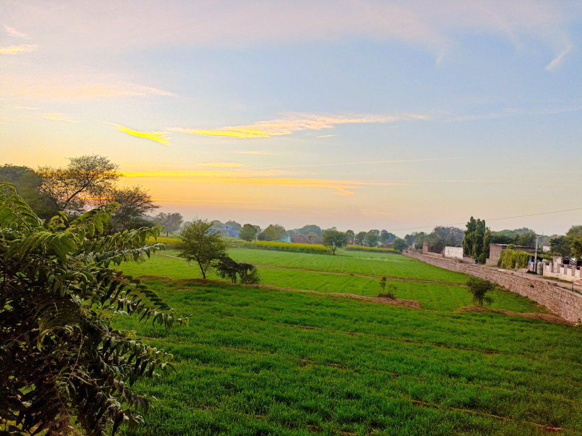 #Morning 🌄 
#lap_of_nature 💚