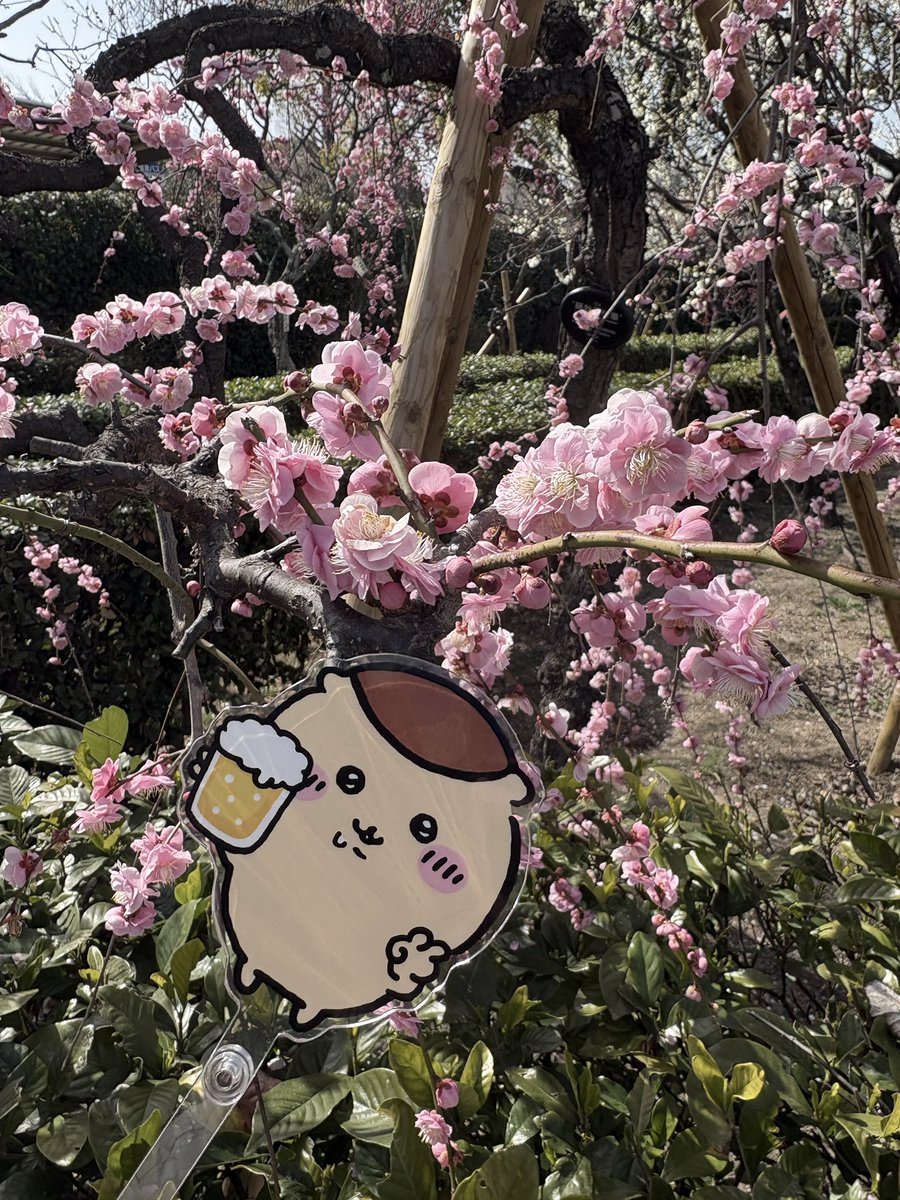 もっちゃん (@matsu_chang2) / Posts / X