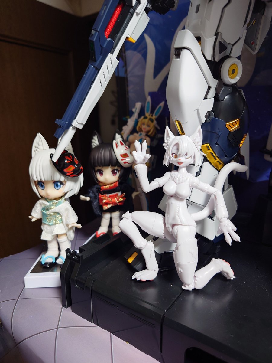 九尾狐っ娘🦊🐾 (@foxgirl885) / Posts / X